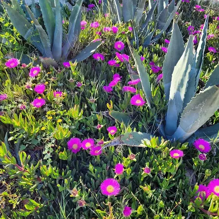 Chilledholidays Apartamento Torrevieja